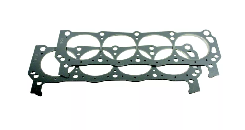 Gaskets & Seals